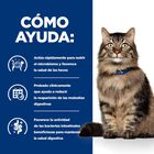 Hill's Prescription Diet Gastrointestinal Biome Guisado de Frango lata para gatos, , large image number null